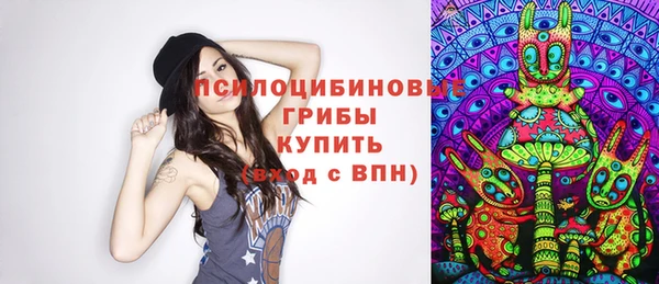 мдпв Абинск
