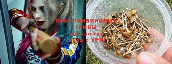 дурь Абаза